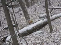 DSCN3769.webp