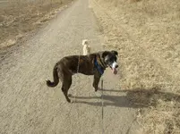 walk 011119 2.webp