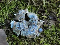 DSCN0812.webp
