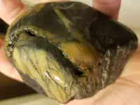 20181111_173126.webp