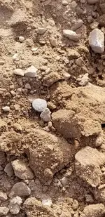 20181223_090454.webp