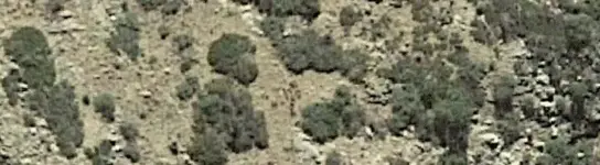 Screenshot_2019-01-21-15-34-05-1.webp