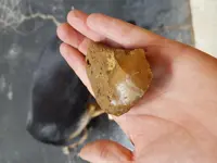 20180722_132711.webp 20180722_132711.webp