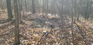20181111_132252.webp 20181111_132252.webp