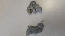 20181204_111547.webp