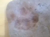 20181123_081923.webp