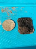 ImageUploadedByTreasureNet.com1546515019.997940.webp