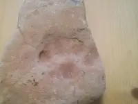 20181123_081357.webp