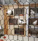 20181201_155931.webp