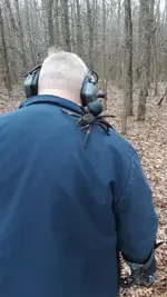 Tarantula.webp