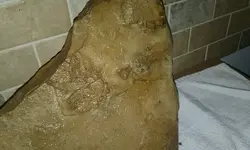 PART951543960890833952018120495143851.webp