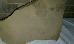 PART951543960909221952018120495143618.webp