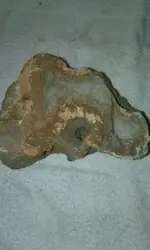 PART951543966944116952018120495161742.webp