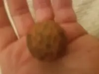 20181230_171258.webp