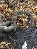 horseshoe.webp