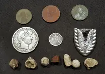 11 23 2018 finds.webp