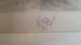 46067377_1151552238357442_7047793208180342784_n.webp