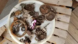 20181215_144227.webp