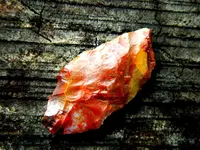 DSCN3713.webp
