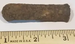 Possible_iron_leg_2.webp
