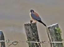 0111.webp