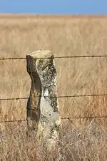 b3d096b03c893f885c9e9cef86e5fe17--rustic-fence-country-fences.webp