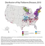 CR-Health-Tick-Map-II-08-15.webp