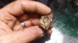 20181215_233711.webp
