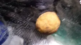 20181215_232145.webp