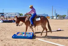 DSCN1006.webp