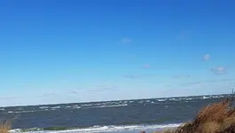 20190121_112348 - Copy.webp