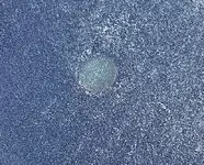 20190121_123320.webp