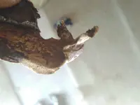 15440417004662032481838207745132.webp