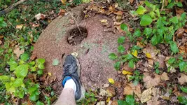 20181009_121036.webp