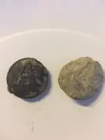 coins 2.webp