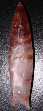 DSC09224.webp