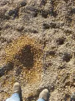 20181205_091432.webp