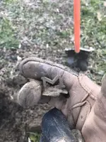 ImageUploadedByTreasureNet.com1546568579.037447.webp