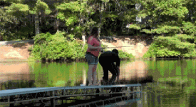 6217ADBD-469E-402D-B7E8-0601F4264EED.gif
