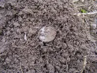 DSCF7604.webp
