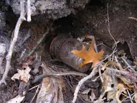 DSCF7667.webp