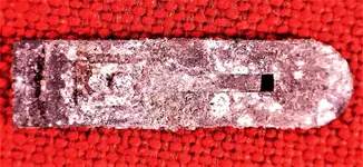 Accordion Reed.webp