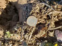 20181216_114733.webp