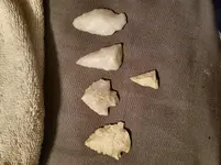 20190123_045806.webp