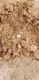 20181216_102704.webp