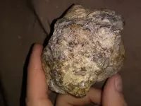20181113_191206.webp
