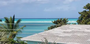 20190123_124219.webp