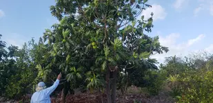 20190123_083336.webp