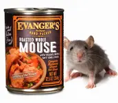 evangers hand packed canned mouse april fools.webp