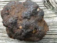 rock.webp